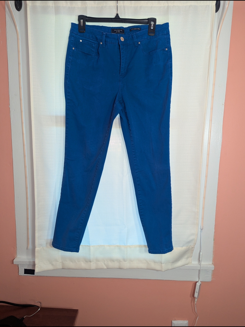 Charter Club Electric Blue Skinny Jeans